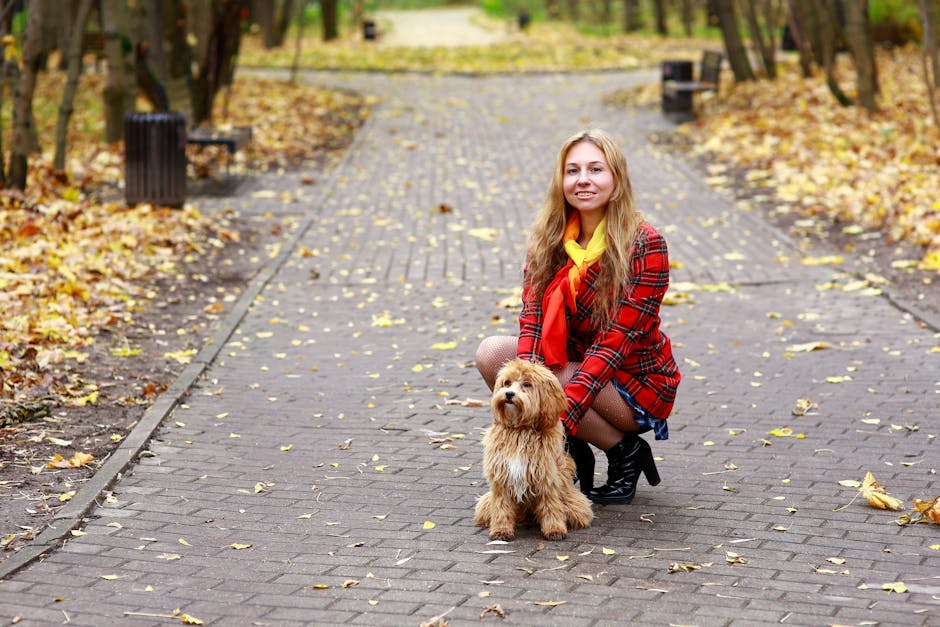 Inspiratie en voorbeelden voor hondenuitlaatservice in Rotterdam